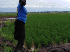 Miyare Agriculture Institute Gets Ksh10million