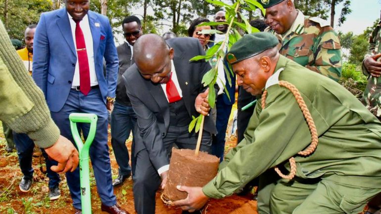 Tree Growing is Core in Restoring Degraded Lands- Forestry PS