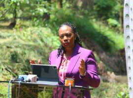 CS Soipan Tuya Calls for Forest Protection in Collaboration with KFS and CFAs