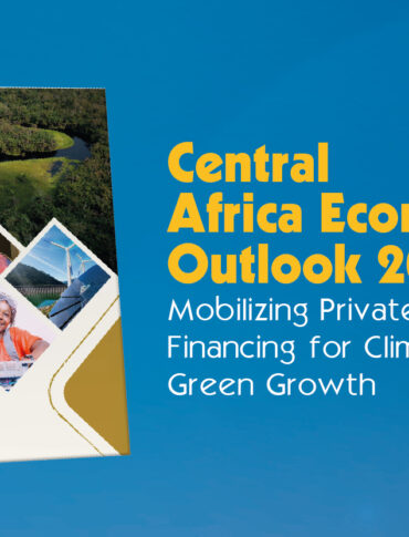 Central Africa Grows Economically With a Focus on Raw Materials