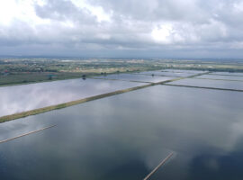 Ruai Residents Paying a Price for Air Pollution from Sewage Plant