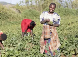 Supporting Small-scale farmers in Building Resilience is Crucial