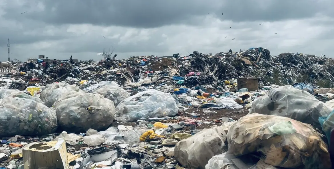 Mitigating Global Waste Challenges: Collaborative Solutions to Eliminate Open Burning