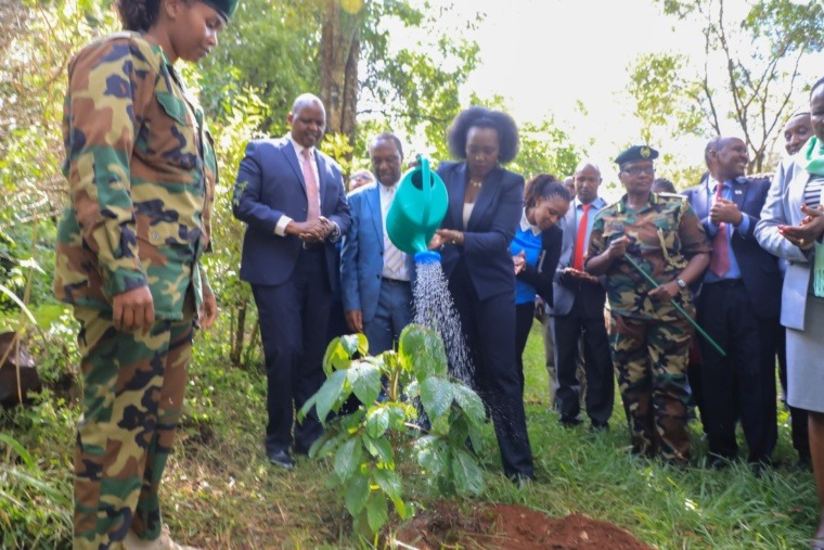 Ministry of Environment, Education Collaborate in Tree Planting ...