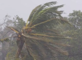 Understanding Linkage in Tropical Cyclones to Climate Change