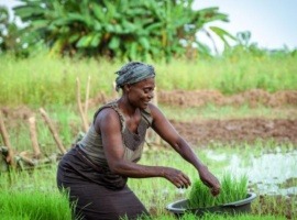 Adapting Kenya’s Agriculture to Climate Change for a Sustainable Future