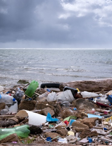 #Beat Plastic Pollution Calls for Global Collective Action