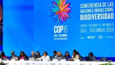 COP16