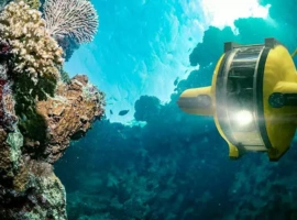 Can Artificial Intelligence Save Coral Reefs?