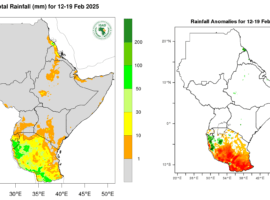 Weather Outlook for the Greater Horn of Africa 12-19 February
