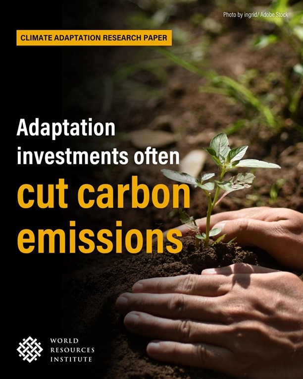 Triple Dividend Resilience