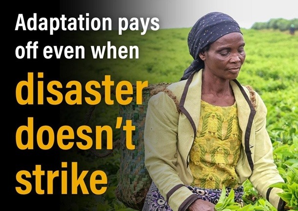 Triple Dividend Resilience Sets Precedence For Adaptation