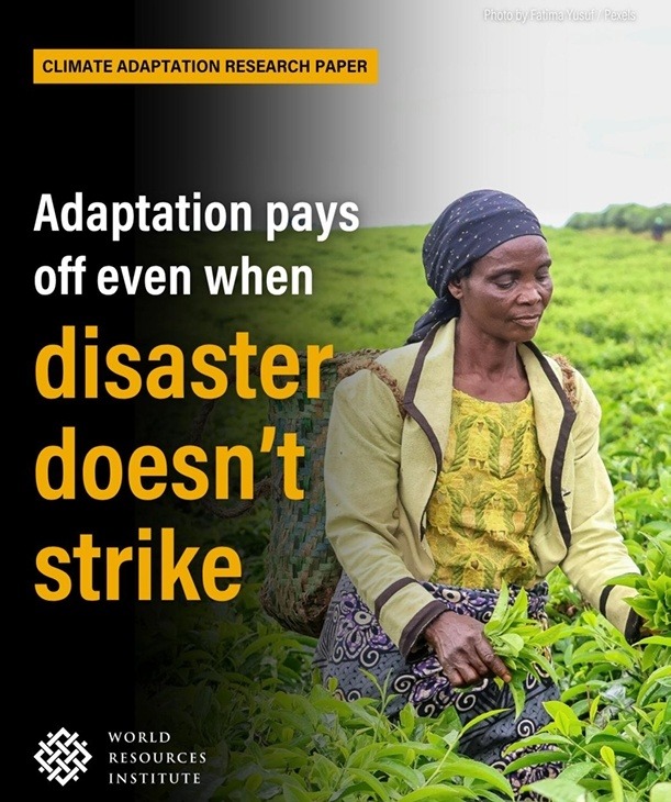 Triple Dividend Resilience Sets Precedence For Adaptation