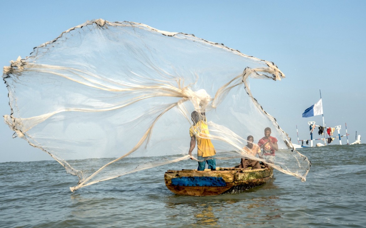 Digital Solutions for Climate-Threatened Fisheries