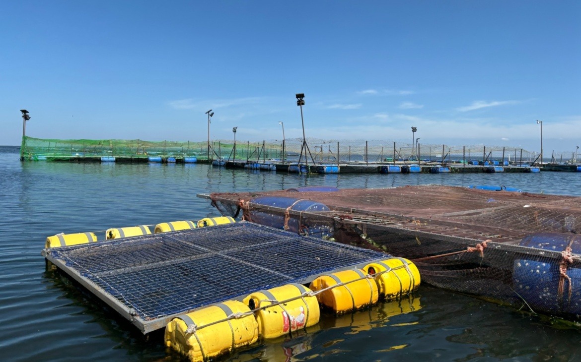 New Research Links Fish Deaths to Wider Public Health Risks