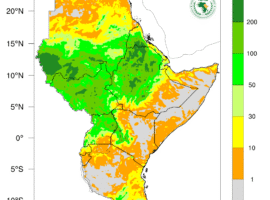 From Downpours to Heatwaves: Eastern Africa’s Weather Outlook for Mid-August