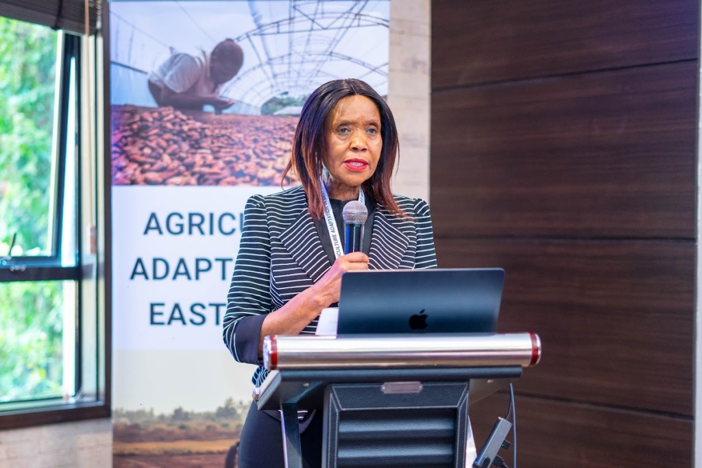 smallholder farmers