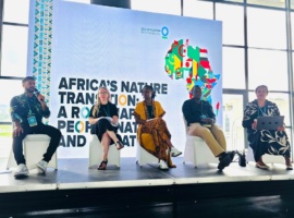 Africa’s Climate Summit Puts Spotlight on Nature-Based Solutions