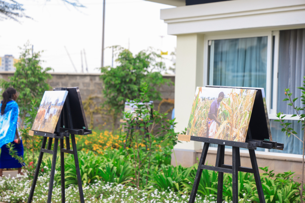 envisioning resilience