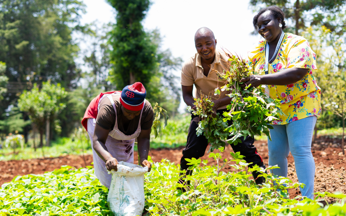 Smallholder Farmers need US$443 billion a year for Adaptation