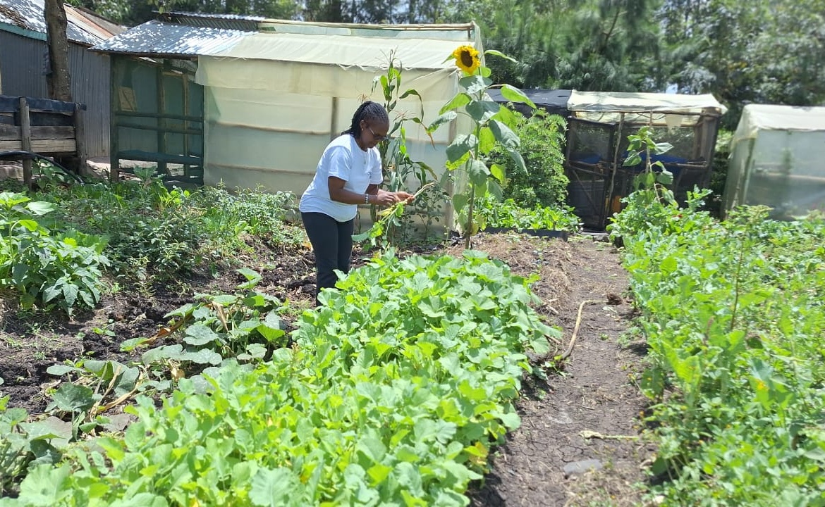 How CSHEP is Nurturing Kenya’s Organic Farming Revolution