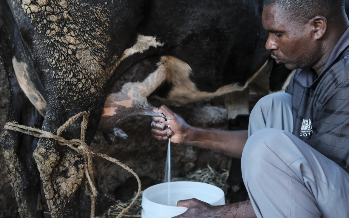 The Future of Dairy Is Low-Carbon: East Africa’s Path to Climate Resilience