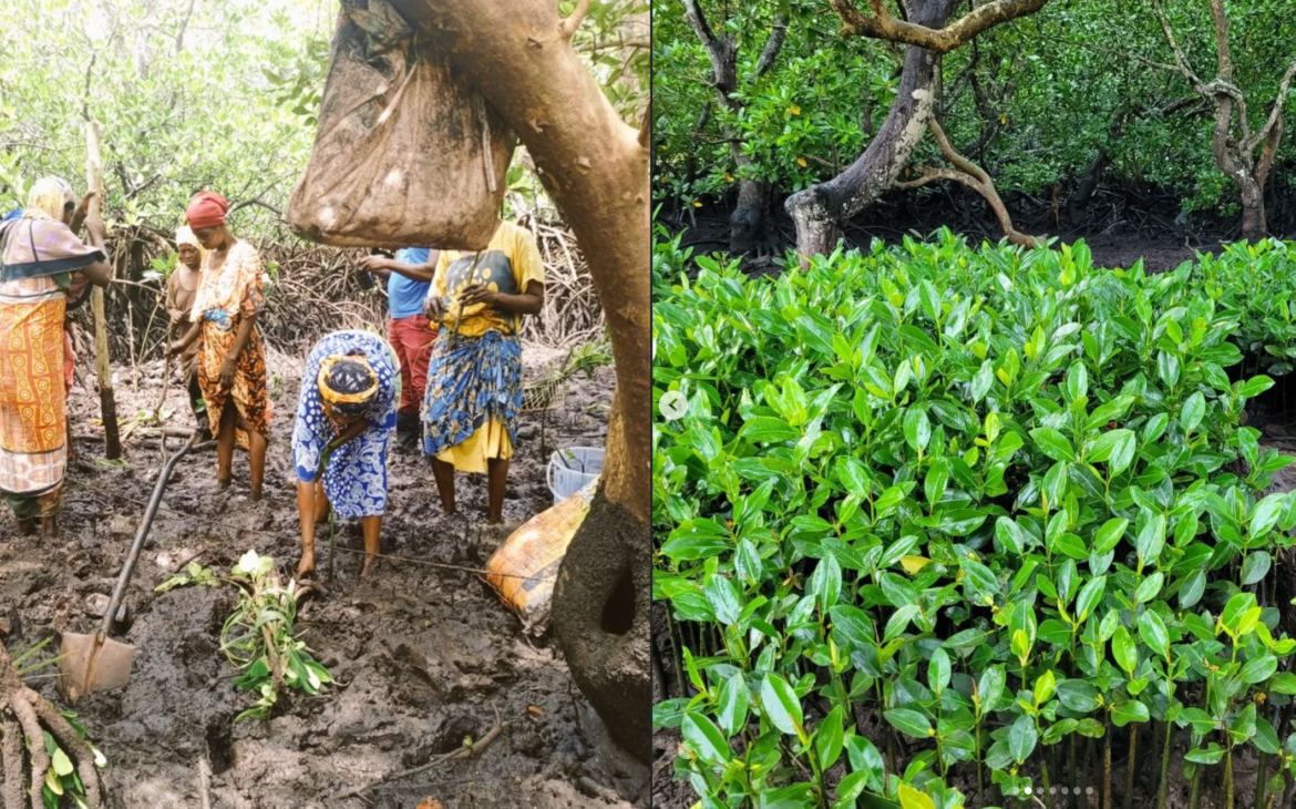 From Funzi Island to the Global Climate Stage: Dorcas Wakio Mugo’s Journey Through Science and Community