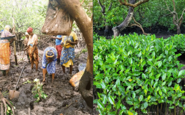 From Funzi Island to the Global Climate Stage: Dorcas Wakio Mugo’s Journey Through Science and Community
