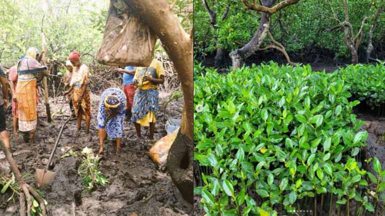 From Funzi Island to the Global Climate Stage: Dorcas Wakio Mugo’s Journey Through Science and Community