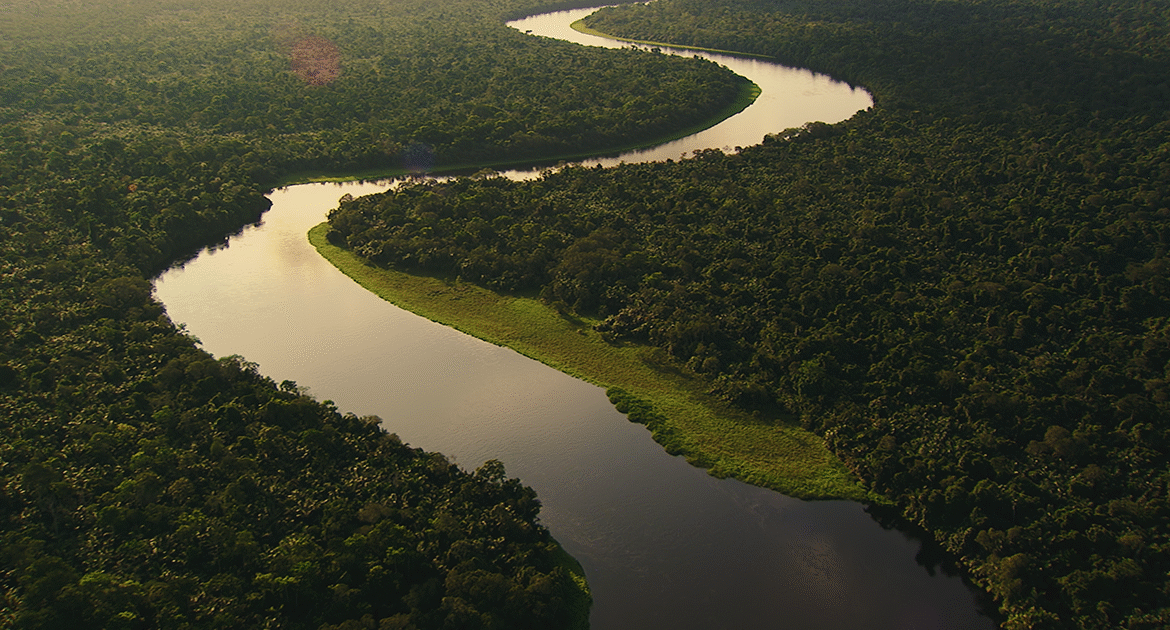 A $2.5B Plan to Protect the Congo Basin