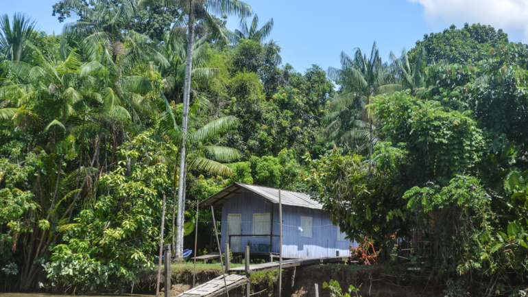 What the Amazon’s Land Tenure Pledge Means for Africa’s Forest Communities