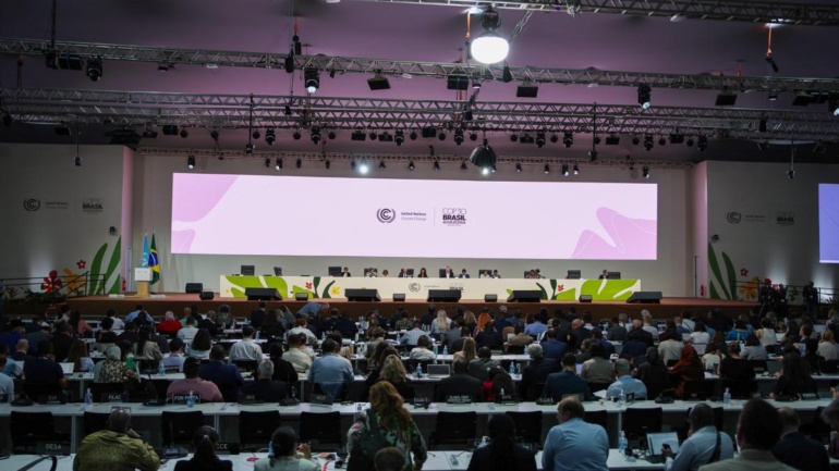 The COP30 Belém Test of Truth vs. Inaction in the Amazon