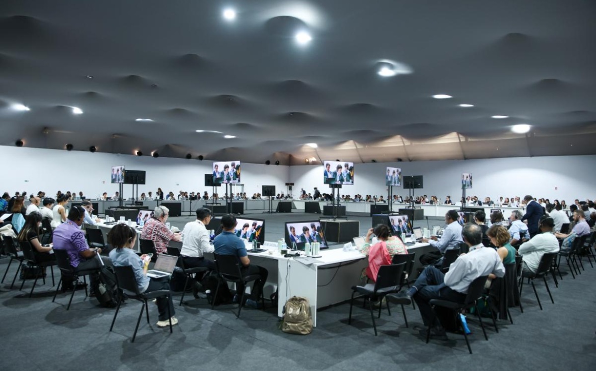 Tripling Adaptation Finance: Can COP30 Deliver?