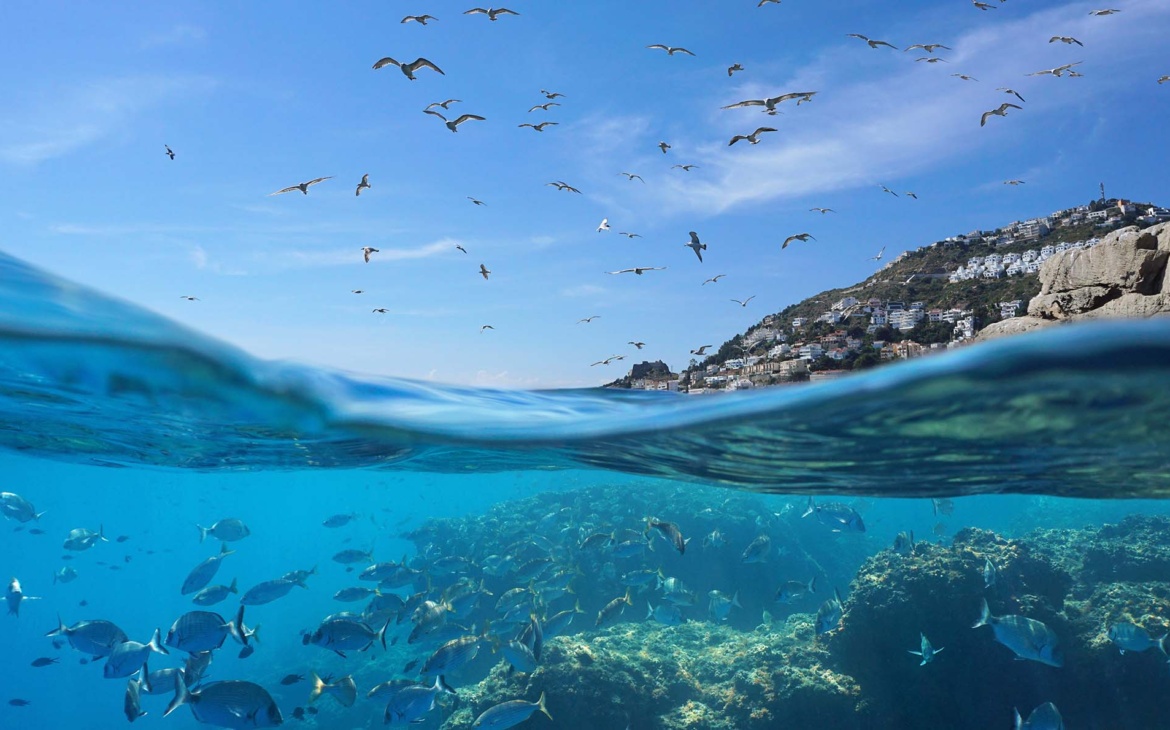 Beyond the Talk: Turning the Tide for Africa’s Oceans