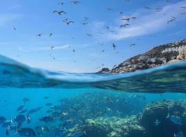 Beyond the Talk: Turning the Tide for Africa’s Oceans