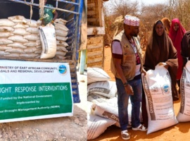 Kenya Strengthens Livestock Safety Nets with Drought Pellets Support