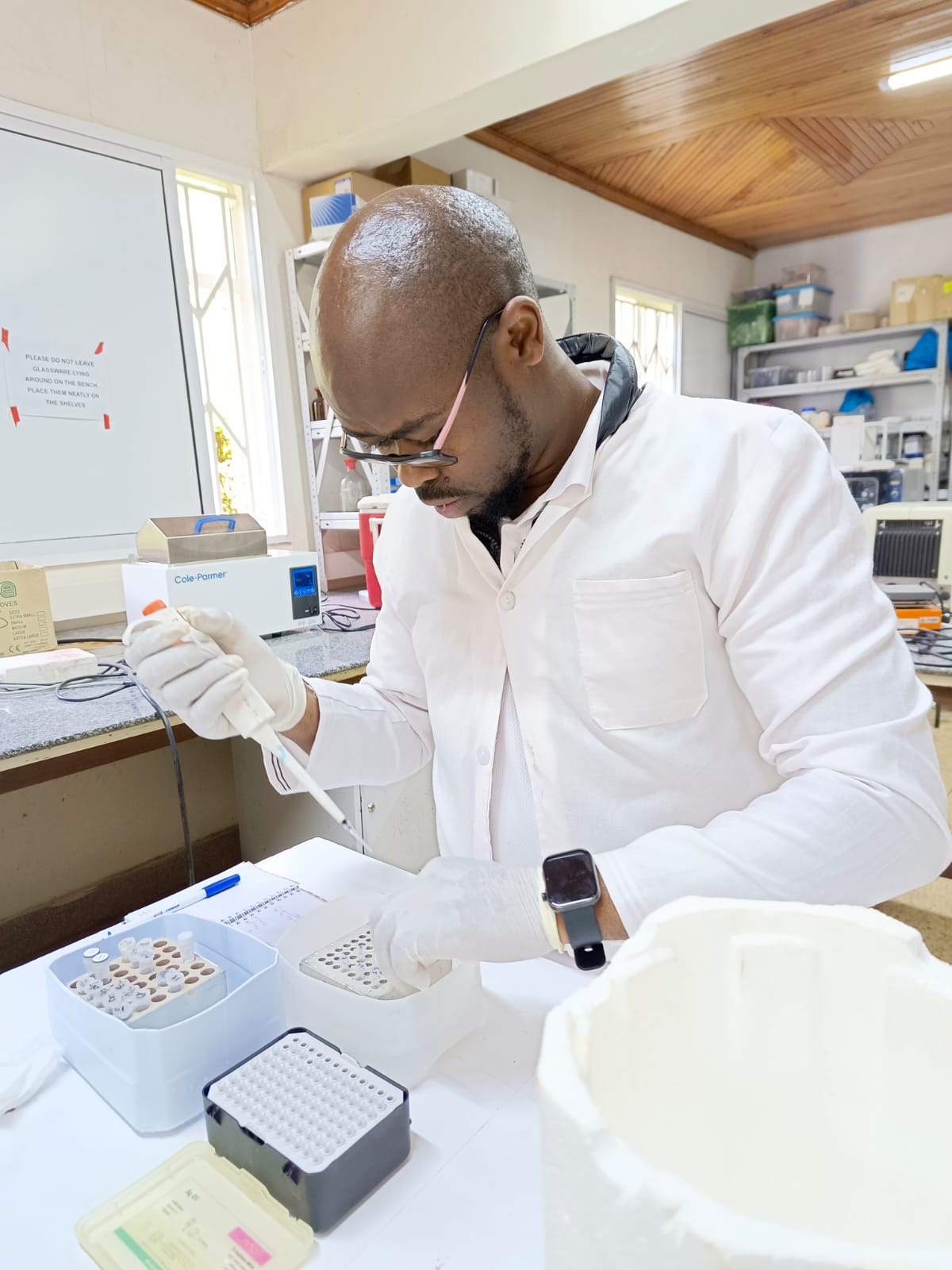 Inside the Breeding Labs Shaping the Future of Kenyan Floriculture