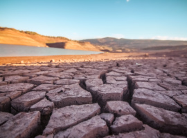 Rainfall, Not Just Heat, Still Rules Droughts, Oceans Keep Them Regional
