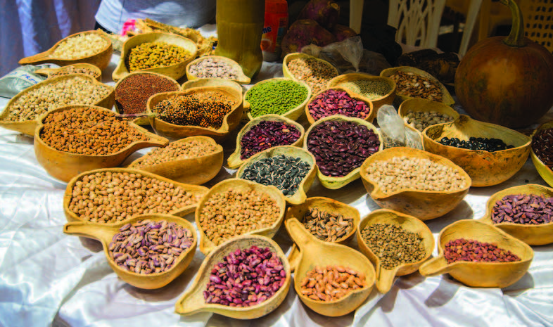 Farmers’ Victory at Risk as Kenya Prepares Appeal on Indigenous Seeds Rights