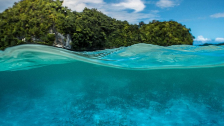 From La Niña to Probable El Niño: ENSO Neutrality Under Watch