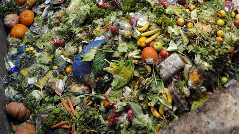 Zero Waste Day: Confronting the Global Food Waste Crisis