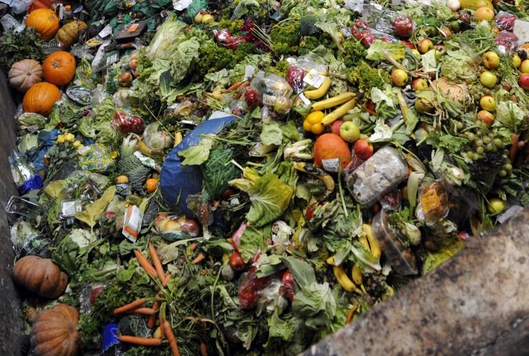 Zero Waste Day: Confronting the Global Food Waste Crisis