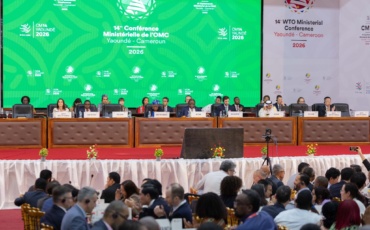 Africa at the WTOMC14: A Seat at the Table, Still an Untapped Promise