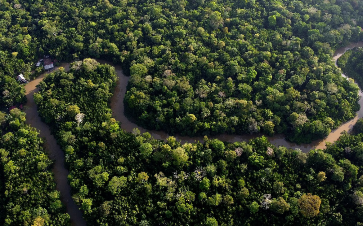 Brazil Faces Lawsuit Over Amazon Highway Plan Threatening Forest Protection