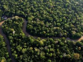 Brazil Faces Lawsuit Over Amazon Highway Plan Threatening Forest Protection