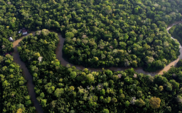 Brazil Faces Lawsuit Over Amazon Highway Plan Threatening Forest Protection