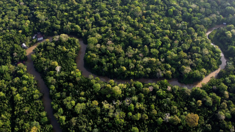Brazil Faces Lawsuit Over Amazon Highway Plan Threatening Forest Protection