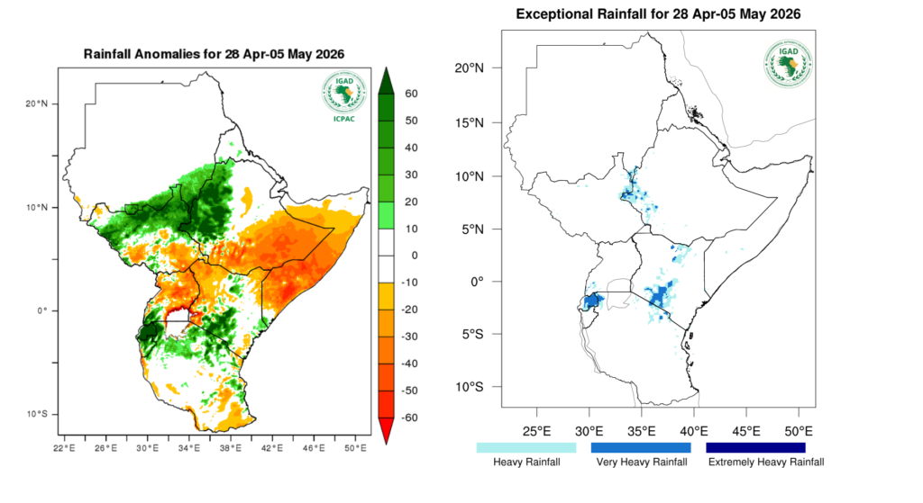 enhanced rainfall