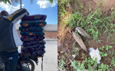 Kapok Collective: How a Tanzanian Entrepreneur Is Turning Forest Fruits into Opportunity