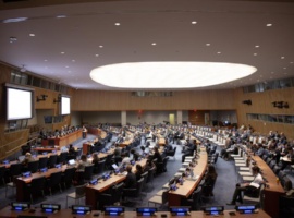 UNFF21 Flags Progress, but Forest Financing and Deforestation Gaps Persist